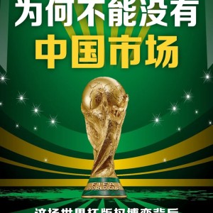 开云体育官网-世界杯为何不能没有中国市场？|美加墨世界杯|苗奇卉|文利|李立军|国际足联_新浪体育_新浪新闻