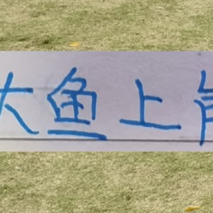 开云官网-海港本土大鱼上岸了！新赛季前2轮转正不在话下吗？