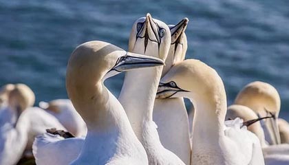 kaiyun-侯志慧卫冕成功！“体育湘军”迎来巴黎奥运第三金